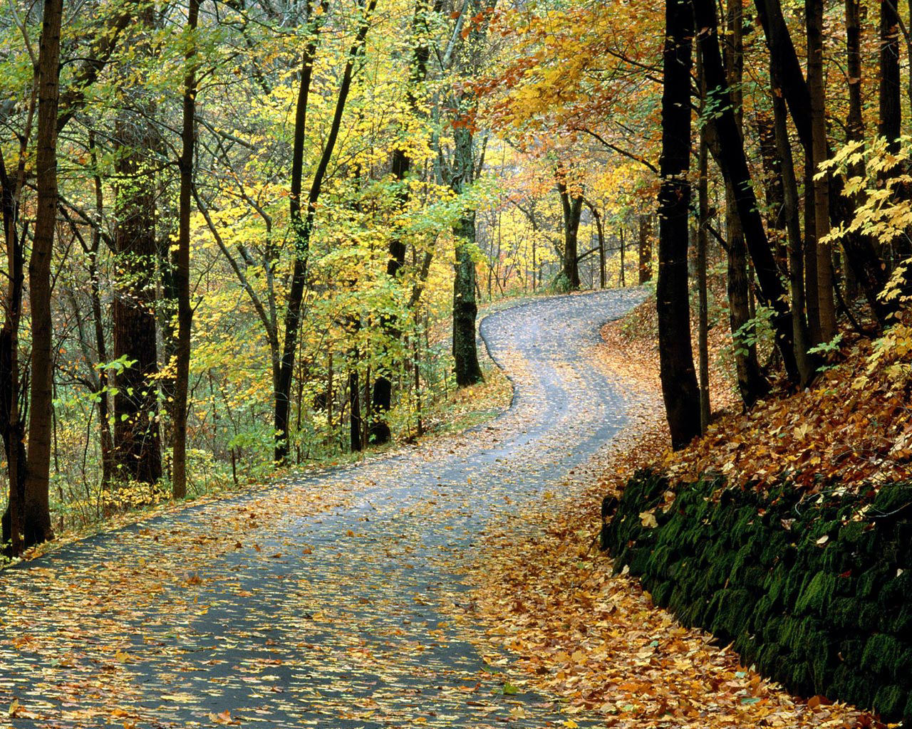 Nature (47).jpg